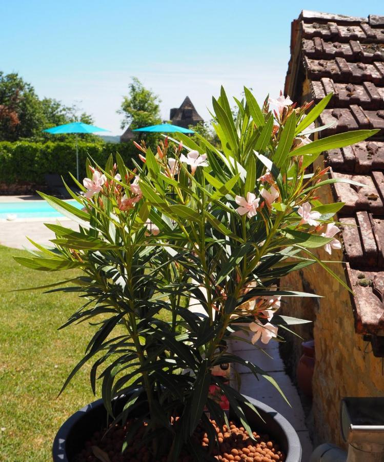 Le Clos de la Musardise - Gîtes de Charme avec Piscine Chauffée Salignac Eyvigues Extérieur photo